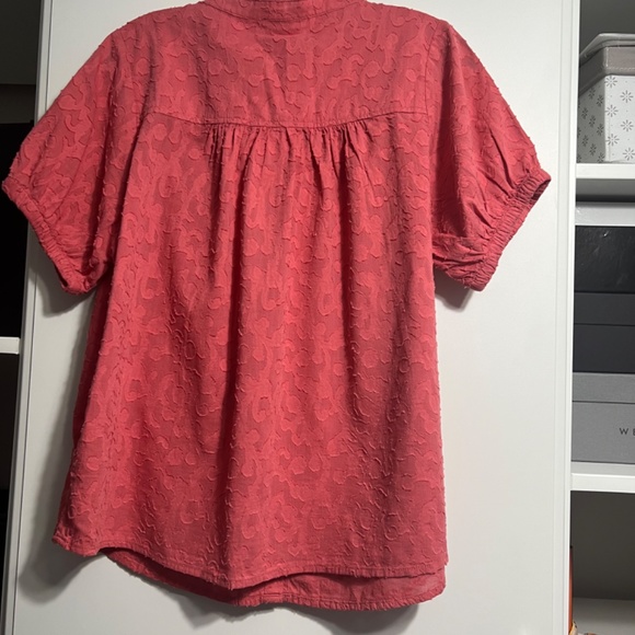 Splendid, Small, colour pink - Picture 3 of 8